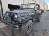 1994 Jeep Wrangler for sale in Michigan (ID-141078)