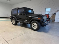 1994 Jeep Wrangler for sale in Michigan (ID-145885)
