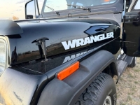 1994 Jeep Wrangler for sale in Michigan (ID-145885)