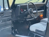 1994 Jeep Wrangler for sale in Michigan (ID-145885)