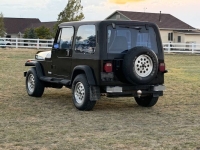1994 Jeep Wrangler for sale in Michigan (ID-145885)