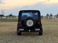 1994 Jeep Wrangler for sale in Michigan (ID-145885)