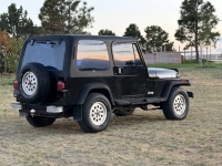 1994 Jeep Wrangler for sale in Michigan (ID-145885)