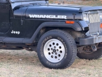 1994 Jeep Wrangler for sale in Michigan (ID-145885)