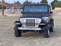 1994 Jeep Wrangler for sale in Michigan (ID-145885)