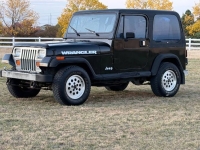 1994 Jeep Wrangler for sale in Michigan (ID-145885)