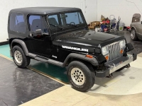 1994 Jeep Wrangler for sale in Michigan (ID-145885)