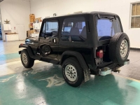 1994 Jeep Wrangler for sale in Michigan (ID-145885)
