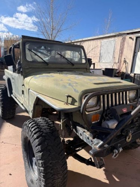 1994 Jeep Wrangler for sale in Michigan (ID-161486)