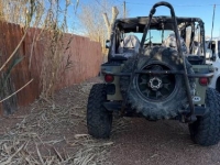 1994 Jeep Wrangler for sale in Michigan (ID-161486)