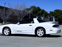 1994 Pontiac Firebird for sale in Michigan (ID-107987)