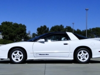 1994 Pontiac Firebird for sale in Michigan (ID-107987)
