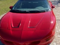 1994 Pontiac Firebird for sale in Michigan (ID-112863)