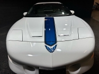 1994 Pontiac Firebird for sale in Addison, Illinois (ID-127009)