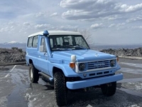 1994 Toyota Land Cruiser for sale in Michigan (ID-115451)