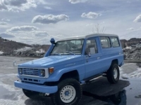 1994 Toyota Land Cruiser for sale in Michigan (ID-115451)