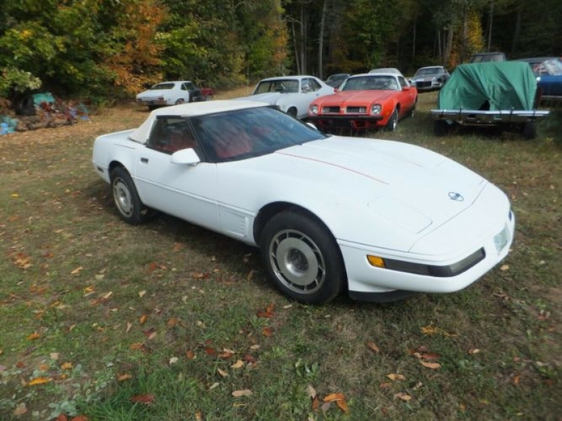 1995 Chevrolet Corvette for sale in Michigan (ID-91659)