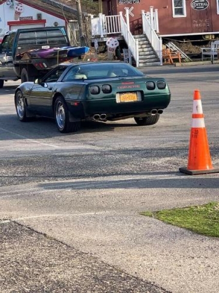 1995 Chevrolet Corvette for sale in Michigan (ID-91740)