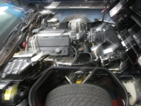 1995 Chevrolet Corvette for sale in Gulfport, Mississippi (ID-143226)