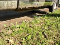 1995 Chevrolet C10 for sale in Michigan (ID-102374)