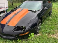 1995 Chevrolet Camaro for sale in Michigan (ID-135597)
