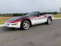 1995 Chevrolet Corvette for sale in Michigan (ID-103498)