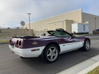 1995 Chevrolet Corvette for sale in Michigan (ID-103498)