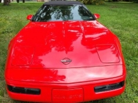 1995 Chevrolet Corvette for sale in Michigan (ID-119877)