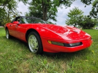 1995 Chevrolet Corvette for sale in Michigan (ID-119877)