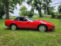 1995 Chevrolet Corvette for sale in Michigan (ID-119877)