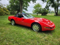 1995 Chevrolet Corvette for sale in Michigan (ID-119877)