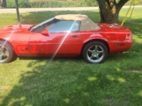 1995 Chevrolet Corvette for sale in Michigan (ID-120489)