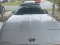 1995 Chevrolet Corvette for sale in Michigan (ID-133209)