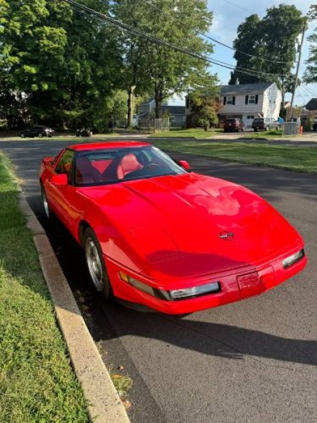 1995 Chevrolet Corvette for sale in Michigan (ID-138991) 1995 Chevrolet Corvette for sale in Michigan (ID-138991)
