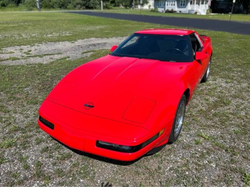 1995 Chevrolet Corvette for sale in Michigan (ID-143674)