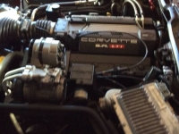 1995 Chevrolet Corvette for sale in Michigan (ID-145266)