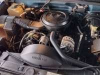 1995 Chevrolet Tahoe for sale in Michigan (ID-123271)
