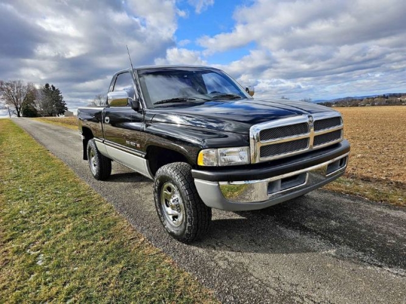 1995 Dodge Ram for sale in Michigan (ID-123871)