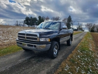 1995 Dodge Ram for sale in Michigan (ID-123871)