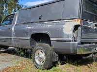 1995 Dodge Ram for sale in Michigan (ID-146204)