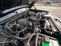 1995 Ford Bronco for sale in Michigan (ID-125526)