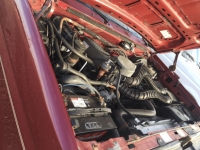 1995 Ford Bronco for sale (ID-124388)