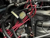 1995 Ford Bronco for sale in Michigan (ID-138570)