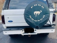 1995 Ford Bronco for sale in Michigan (ID-161759)