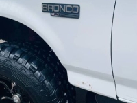 1995 Ford Bronco for sale in Michigan (ID-161759)