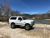 1995 Ford Bronco for sale in Michigan (ID-162303)