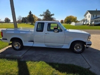 1995 Ford F150 for sale in Michigan (ID-135540)