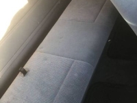 1995 Ford F150 for sale in Michigan (ID-137598)