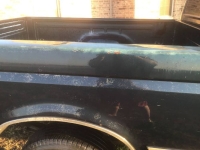 1995 Ford F150 for sale in Michigan (ID-137598)