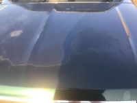1995 Ford F150 for sale in Michigan (ID-137598)